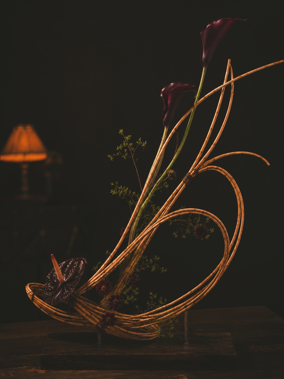 深色背景中的观象构成阶段性花艺研究作品
