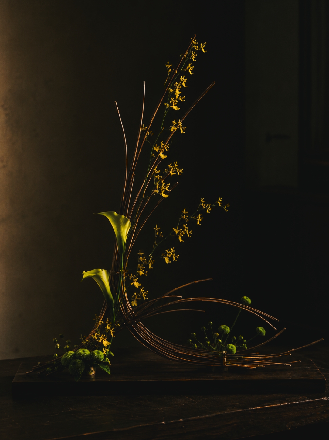 浅色背景中的观象构成阶段性花艺研究作品